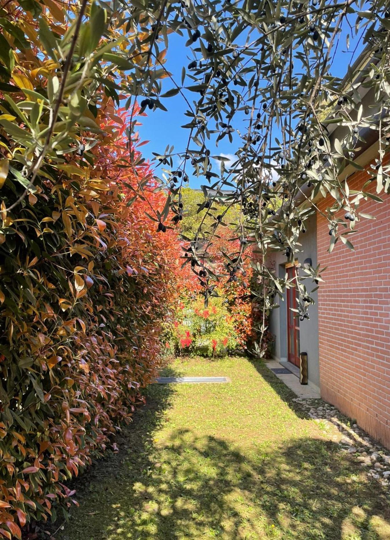 L'Ulivo Di Como Apartment Екстериор снимка